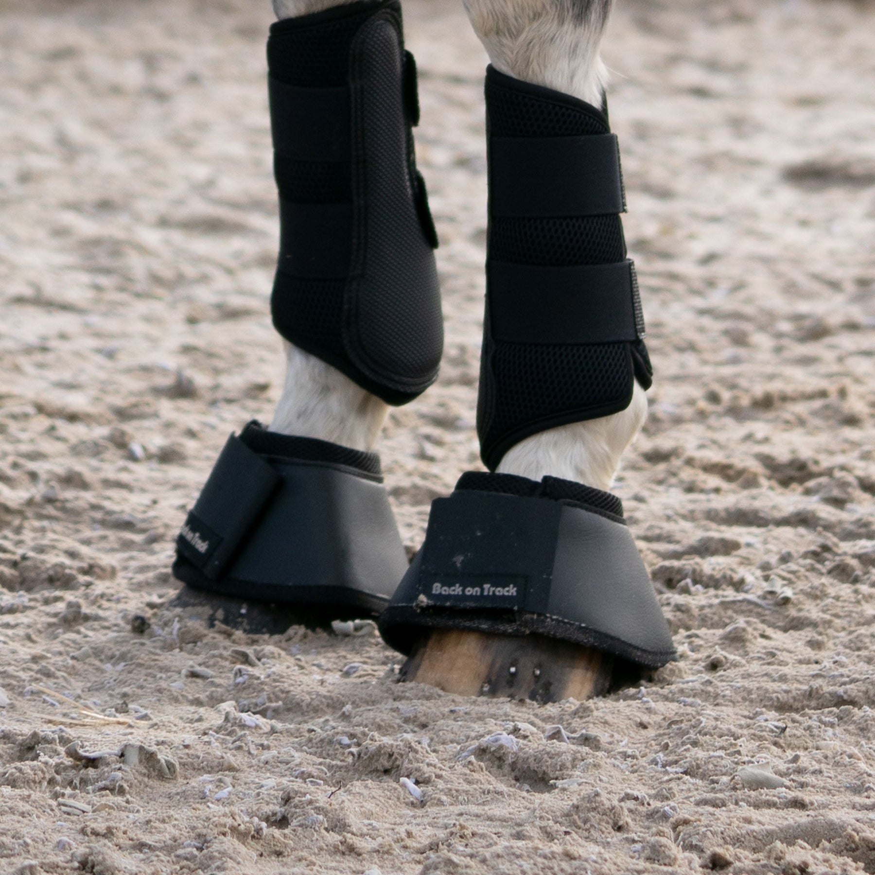Back on Track Bootsit hevoselle M