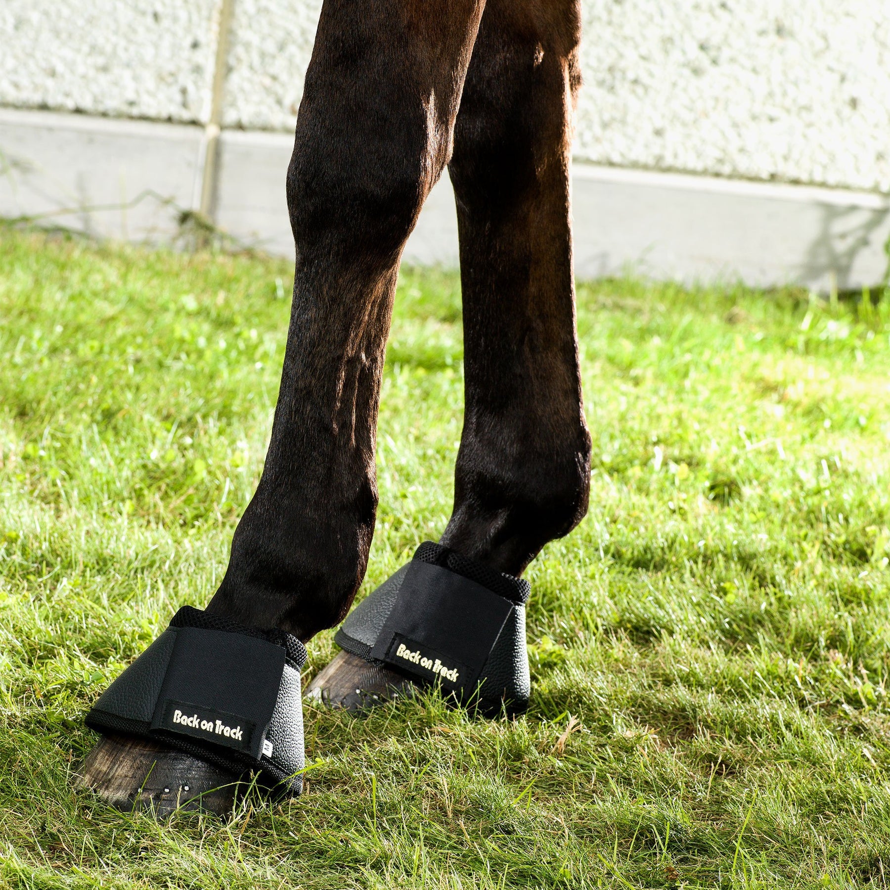 Back on Track Bootsit hevoselle M