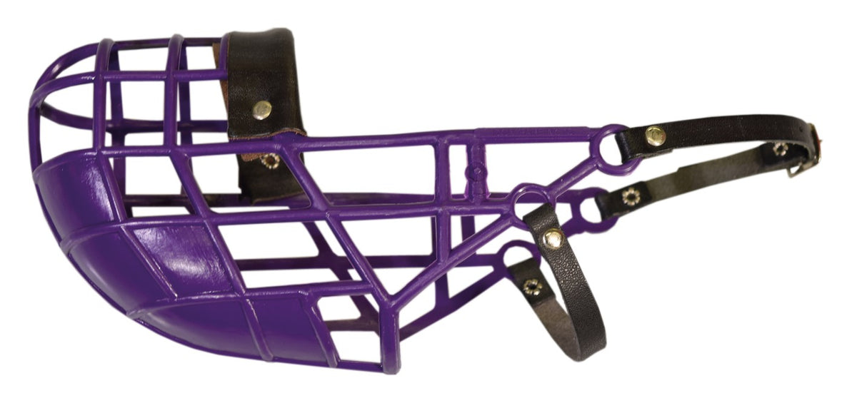 D&C Kennelkoppa Greyhound lila