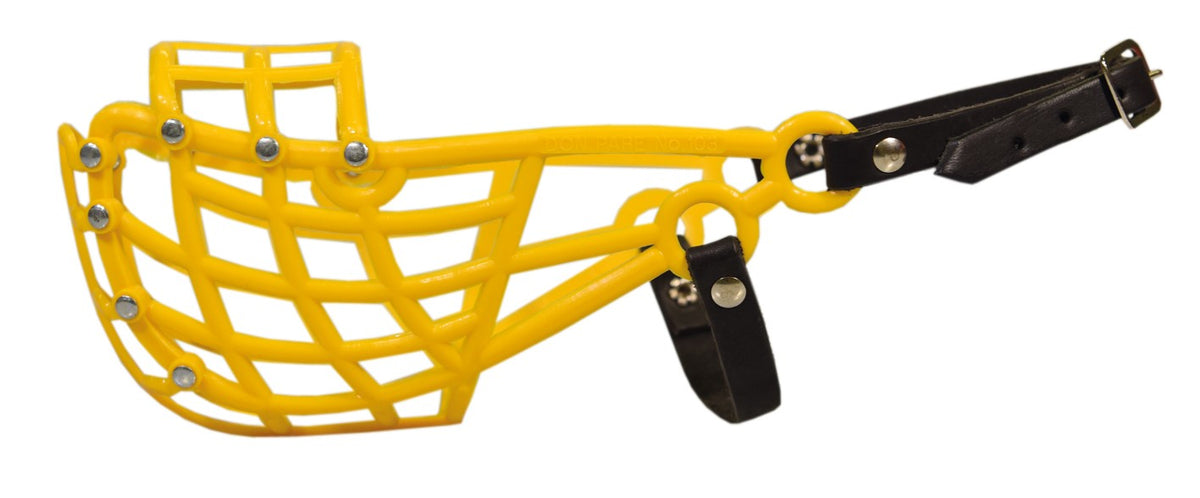 D&C Kennelkoppa Whippet keltainen