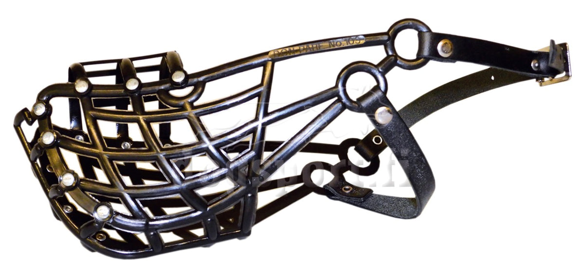 D&C Kennelkoppa Whippet musta