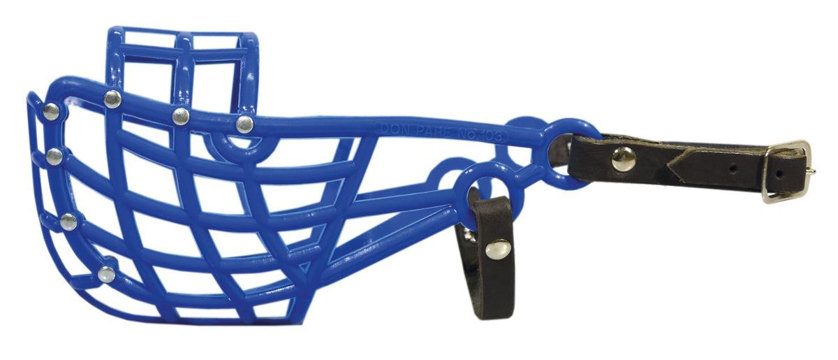 D&C Kennelkoppa Whippet sininen