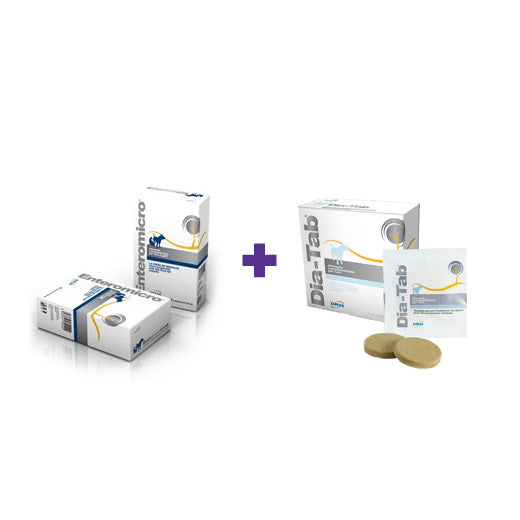 Dia-Tab 6 tabl + Enteromicro Complex 32 tabl koiralle