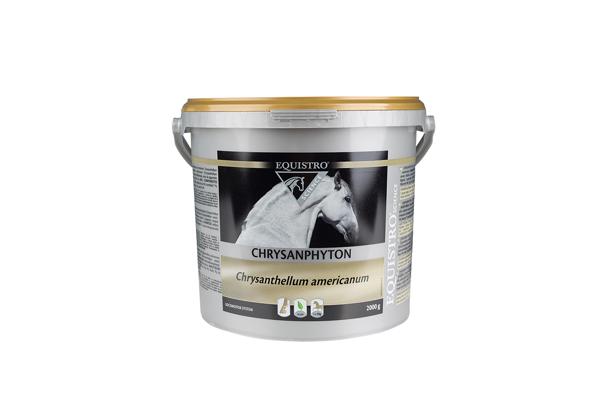 Equistro Chrysanphyton hevoselle 2 kg