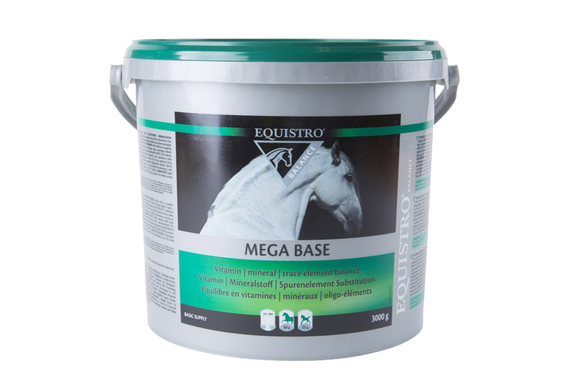 Equistro Mega Base hevoselle 3 kg