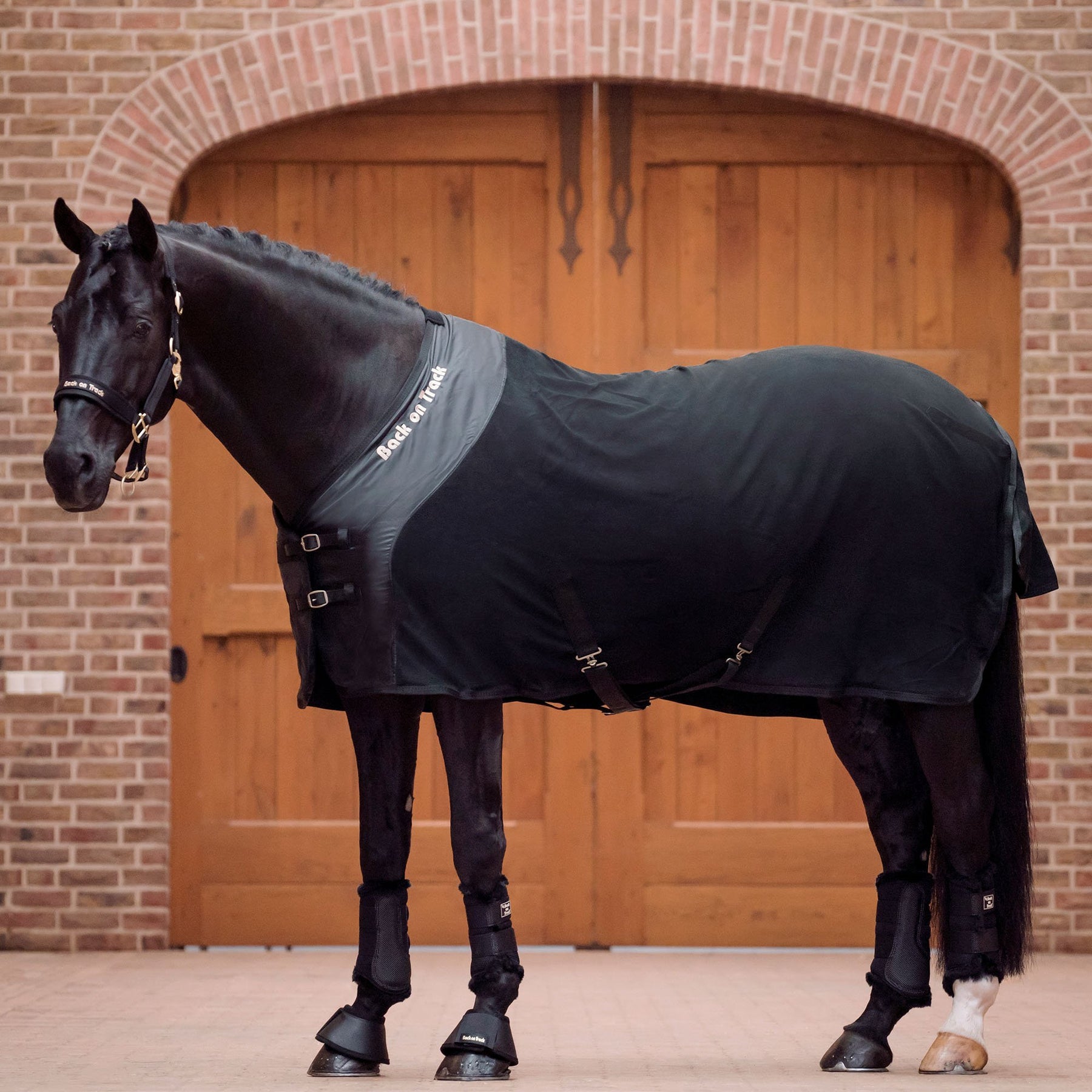 Back on Track Fleeceloimi hevoselle 145 cm