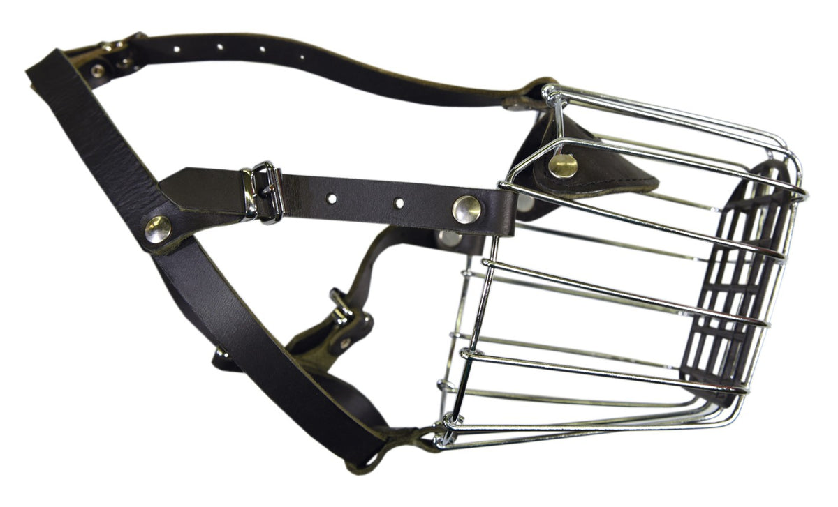 Klin Metallikoppa Rottweiler narttu 7