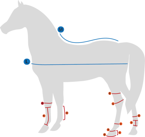 Back on Track Verkkoloimi hevoselle musta 155 cm