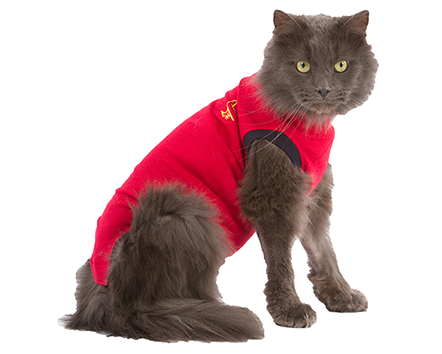 Medical Pet Shirt toipilaspaita kissalle XXXS