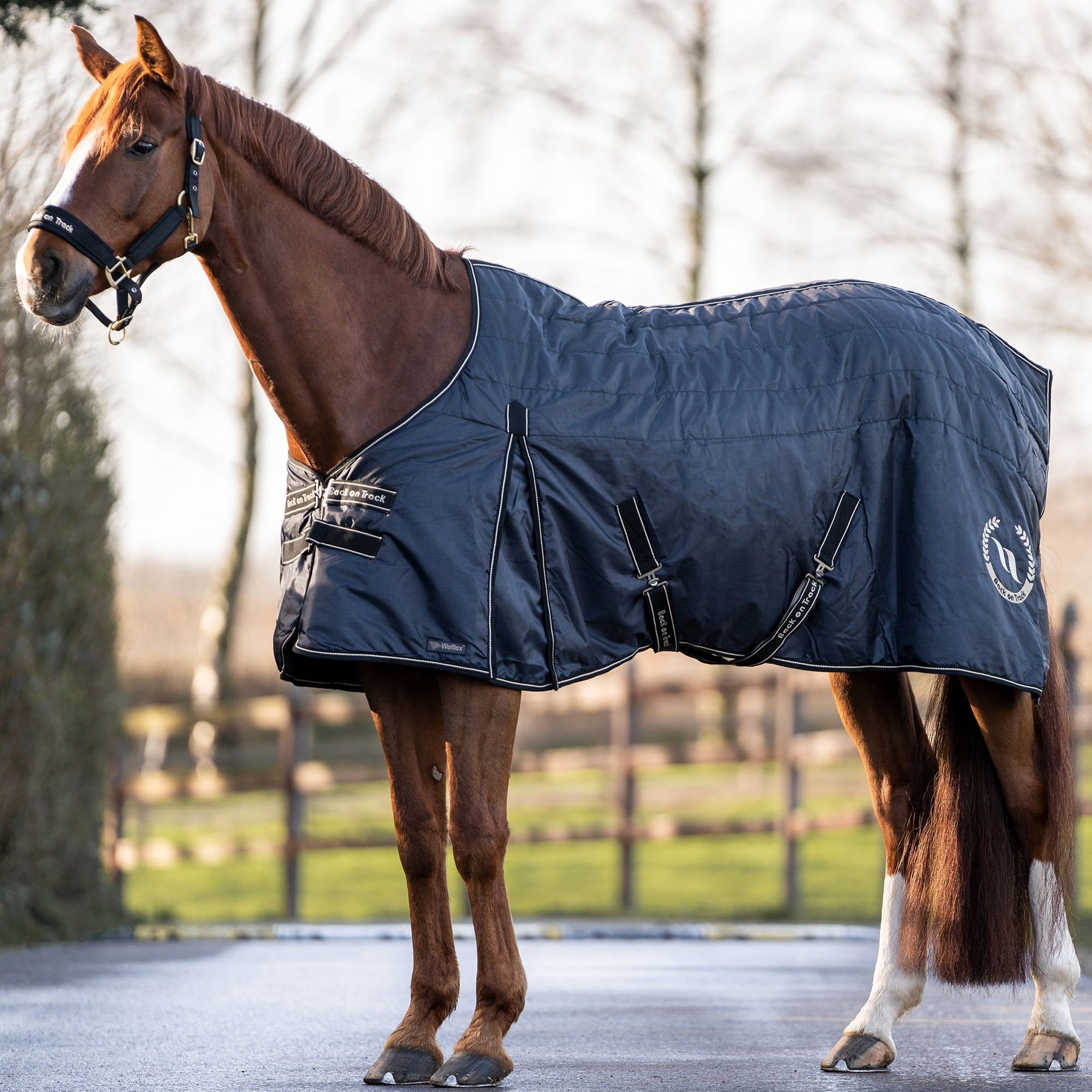 Back on Track Millie talliloimi 200 g hevoselle 155 cm 2-LAATU