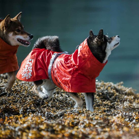 Hurtta Monsoon Sadetakki Eco