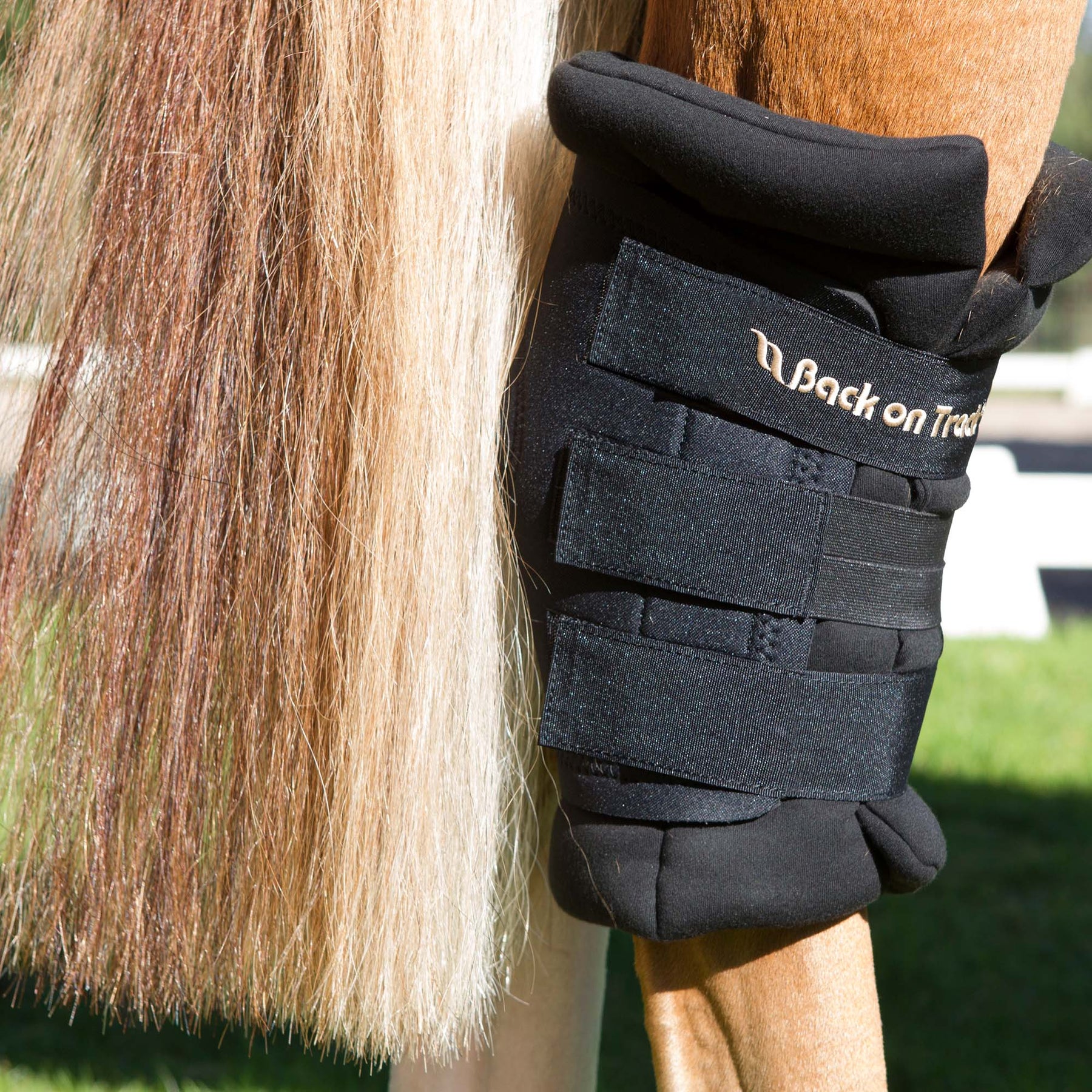 Back on Track Royal kinnersuojat hevoselle