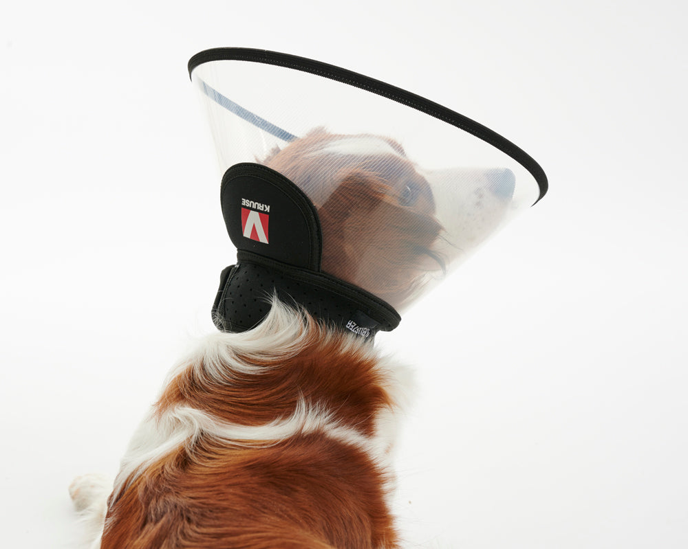 Buster Complete Kauluri 30 cm