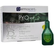 Dermoscent PYOspot koiralle 20 - 40 kg RIKKOONTUNUT