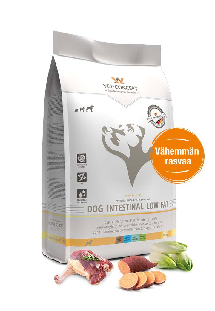 Vet Concept Dog Intestinal Low Fat koiralle 10 kg
