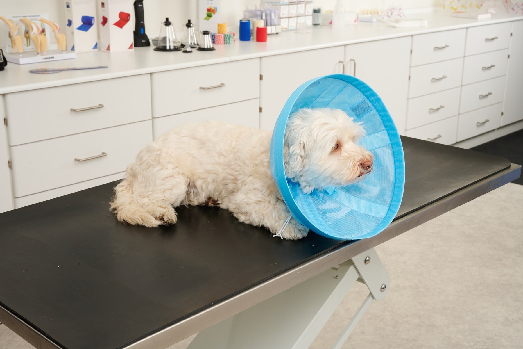 Buster Soft Flex pehmokauluri 30 cm