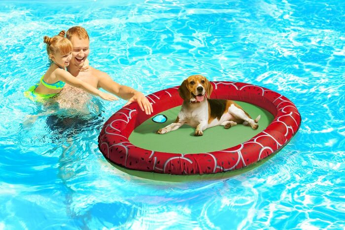 Beeztees Gody kelluva ilmapatja koiralle 140 x 96 cm