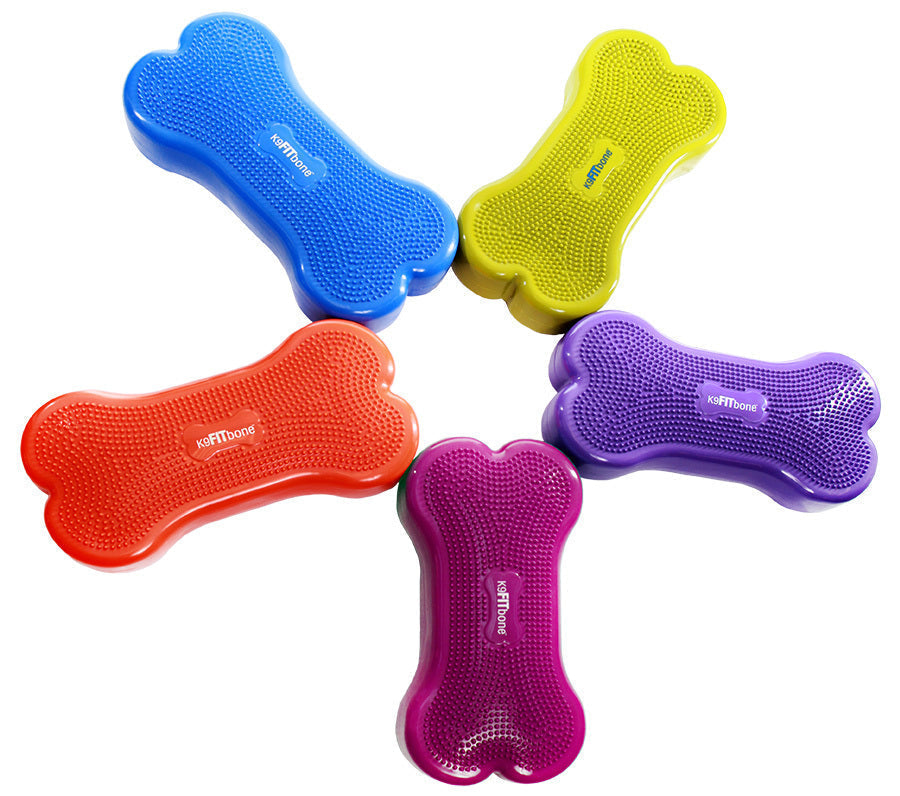 FitPAWS K9FITbone koiralle aqua 2-LAATU