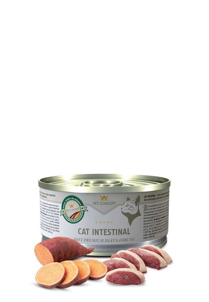 Vet Concept Kissamenu Intestinal 100 g