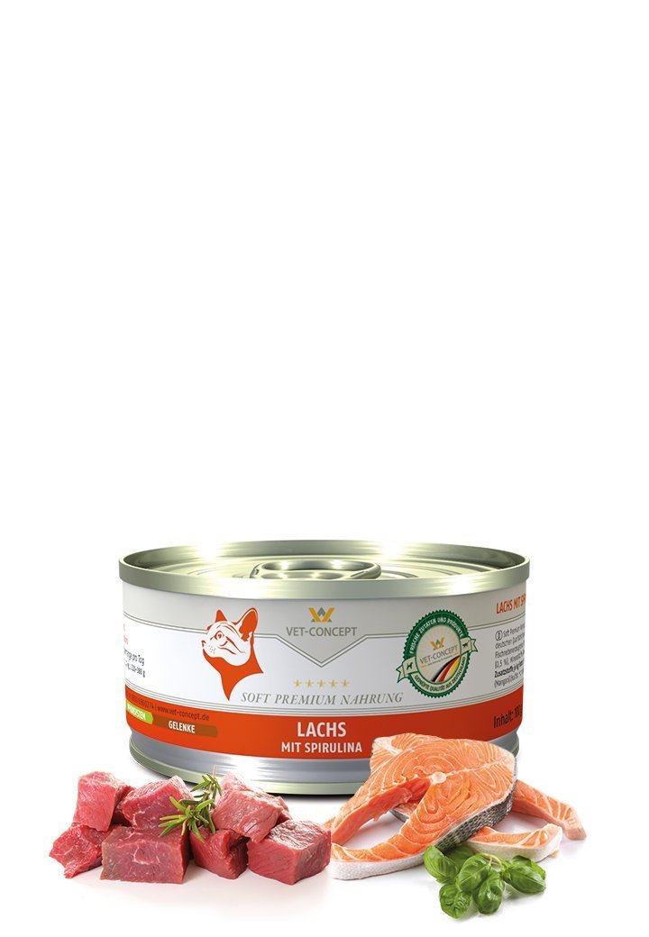 Vet Concept Kissamenu Lachs Lohi 6 x 200 g