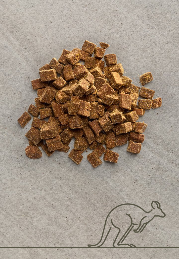 Vet Concept Lihaherkku Kenguru 250 g