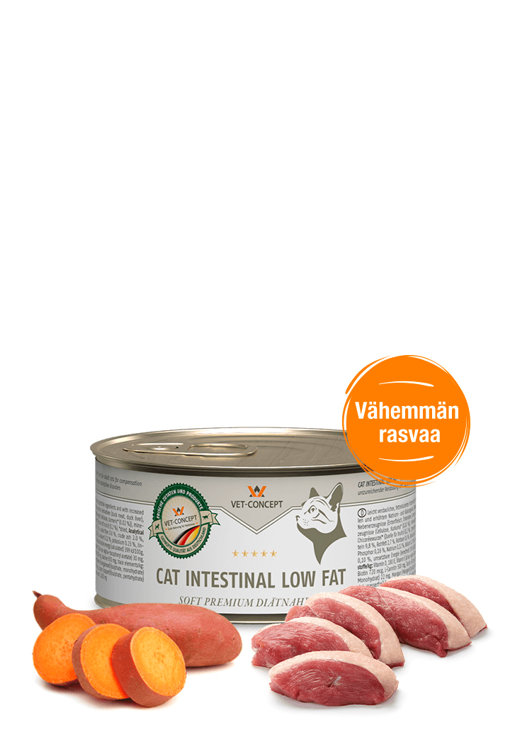 Vet Concept Kissamenu Intestinal Low Fat 200 g PÄIVÄYSTARJOUS