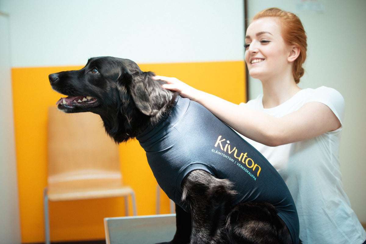 Medical Pet Shirt -toipilaspaita koirille L
