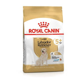 Royal Canin Labrador Retriever Adult 5+ koiralle 12 kg