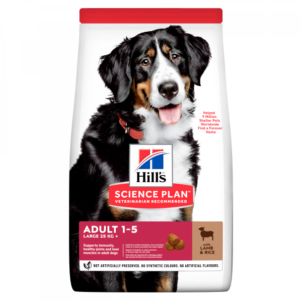 Hill's SP Adult Large with Lamb & Rice koiralle 12 kg
