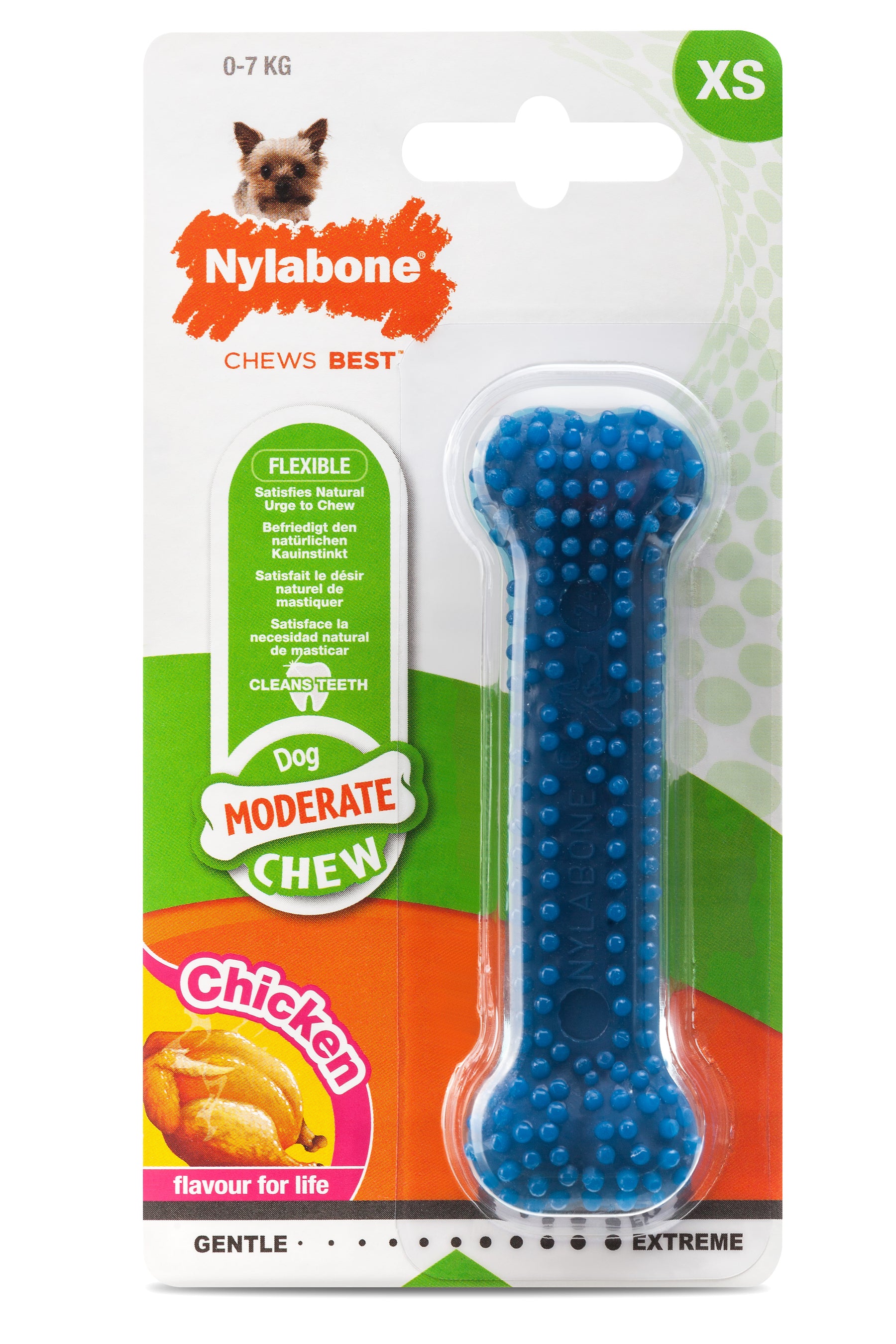Nylabone Moderate Dental Chew purulelu kana XS