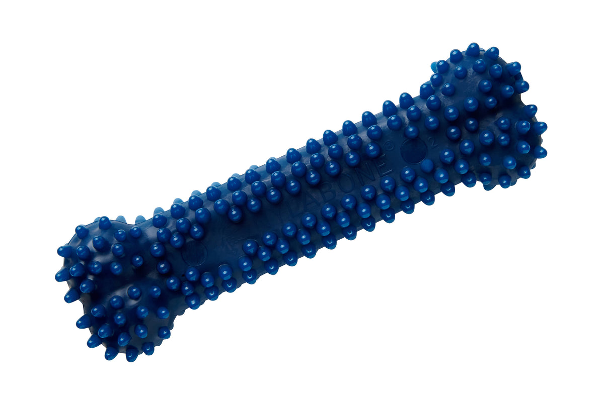 Nylabone Moderate Dental Chew purulelu kana S