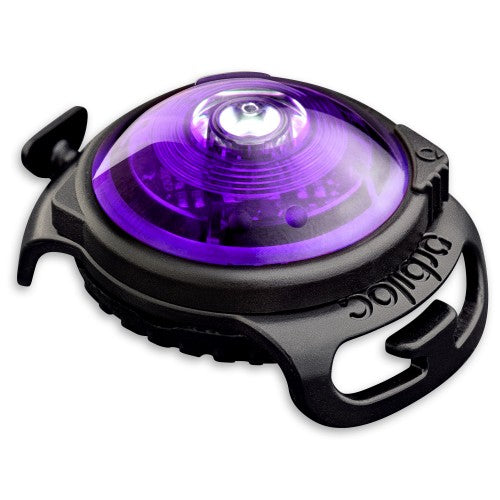 Orbiloc Dog Dual turvavalo lila