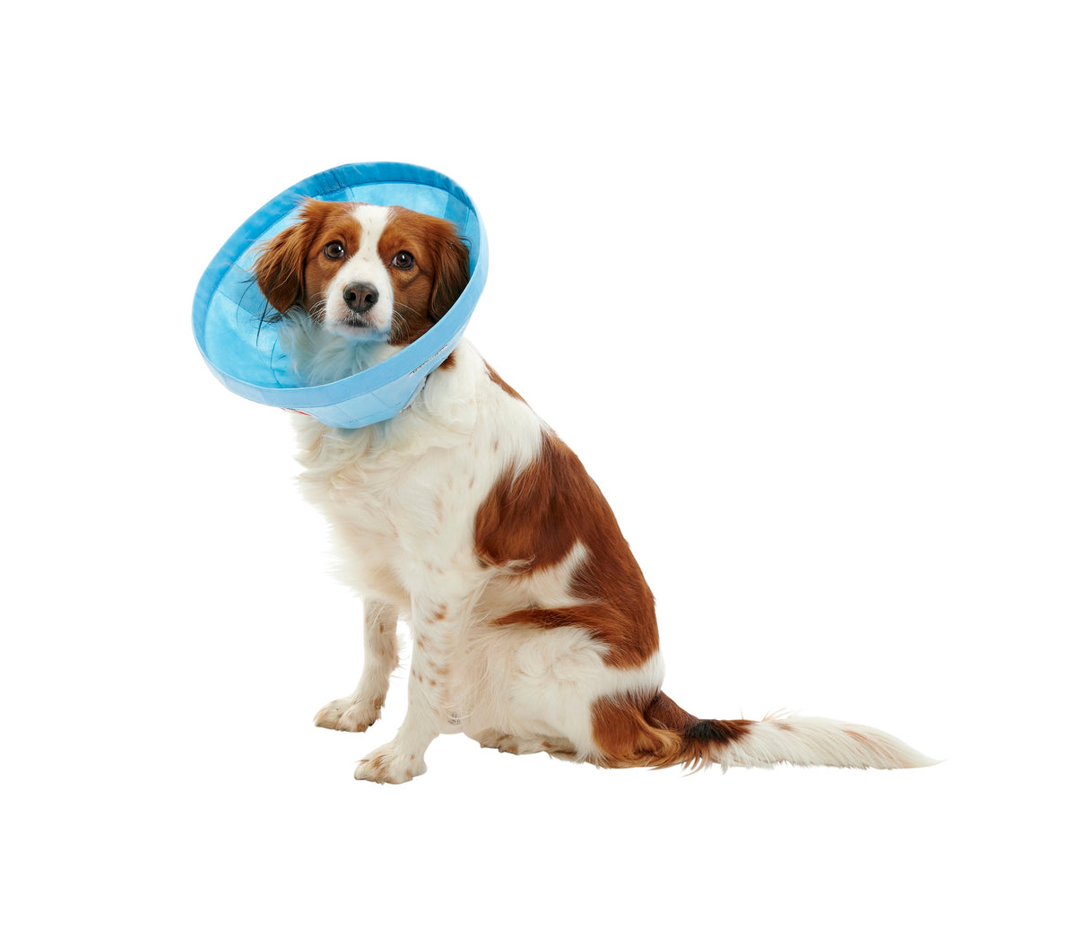 Buster Soft Flex pehmokauluri 30 cm