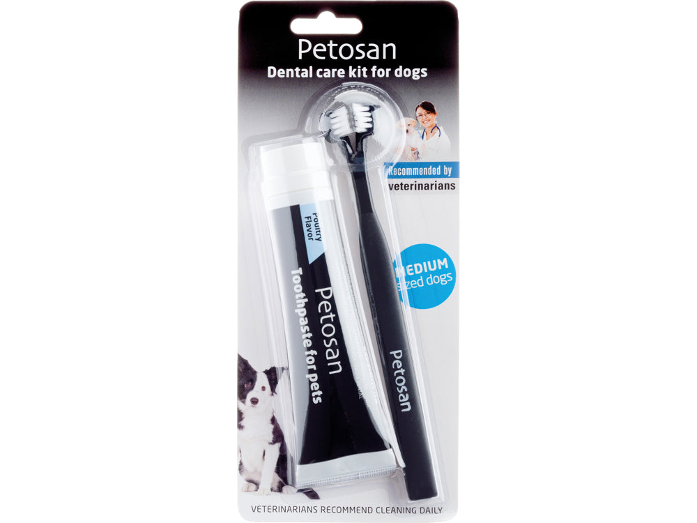 Petosan Hammashoitosetti keskikokoisille koirille