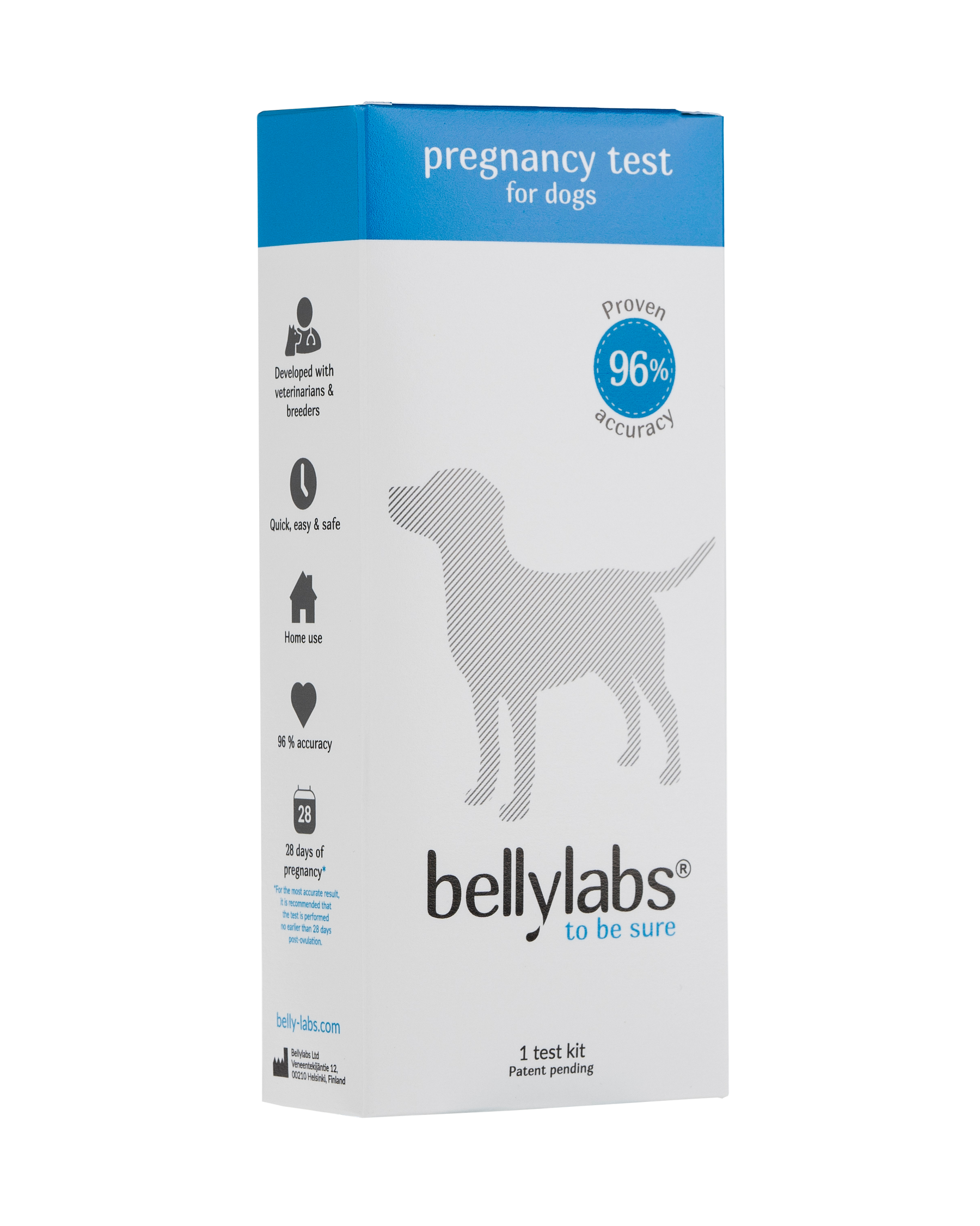Bellylabs tiineystesti koiralle