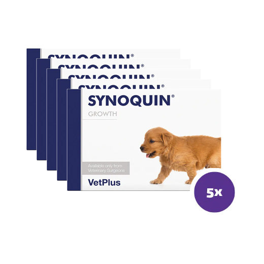 Synoquin Growth koiralle 60 tablettia x 5 kpl SÄÄSTÖPAKKAUS
