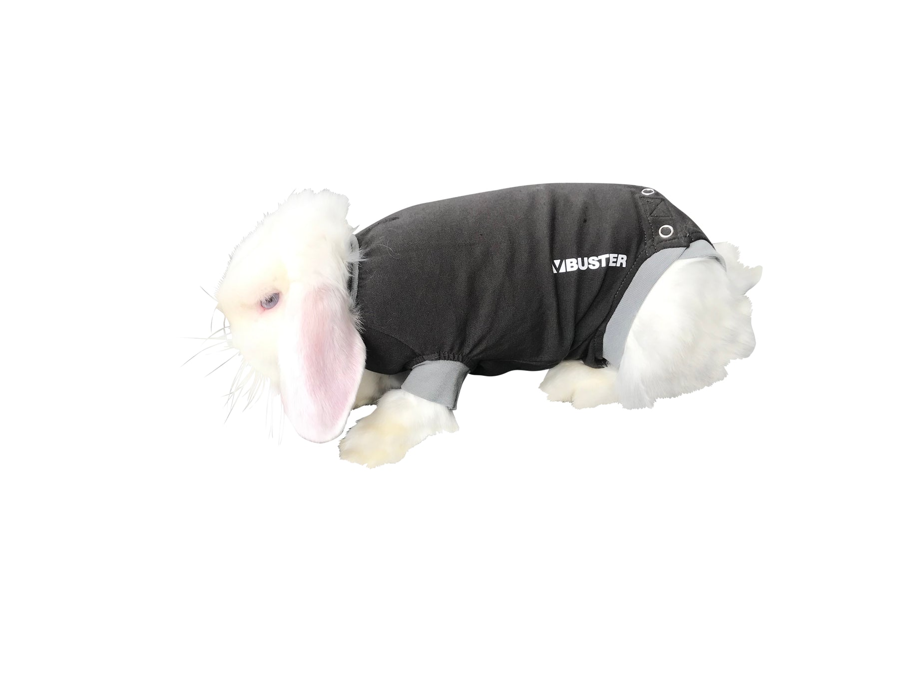 Buster toipilaspuku kanille XXXS