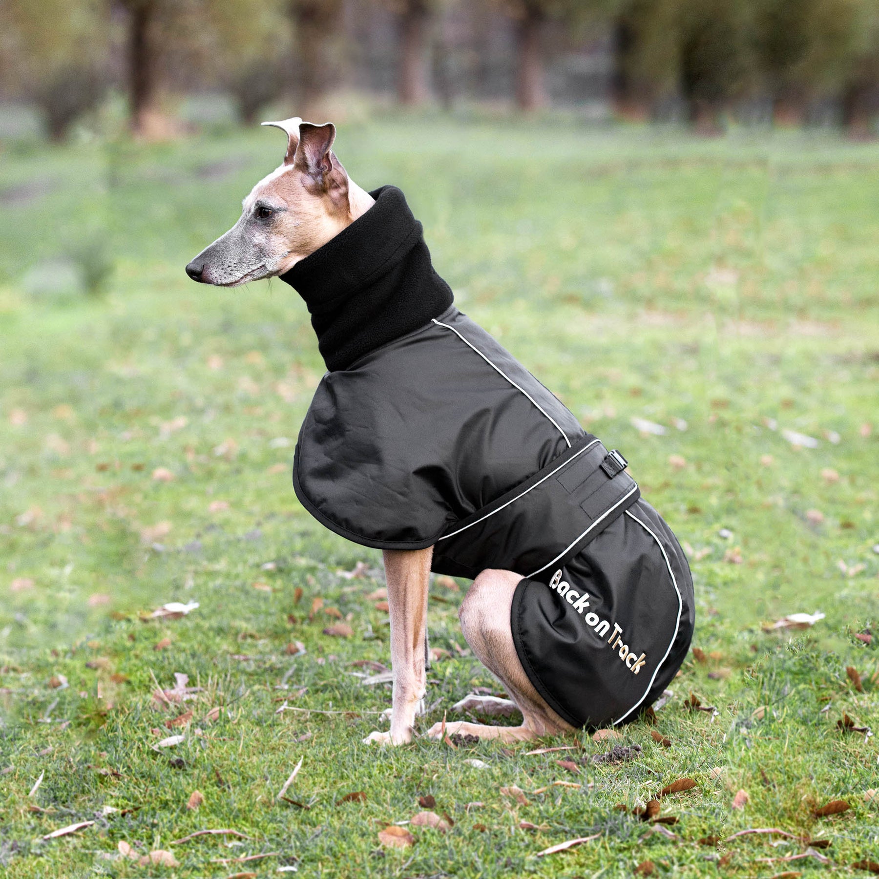 Back on Track Whippet-takki 55