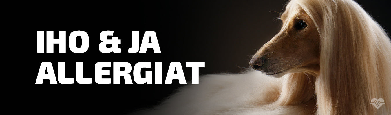 Hypoallergeeniset koiranruoat: näin vähennät allergiariskejä