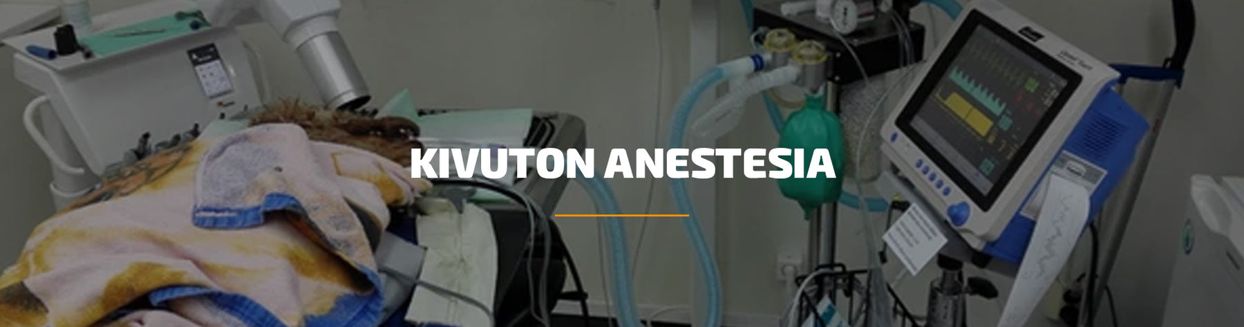 Kivuton anestesia
