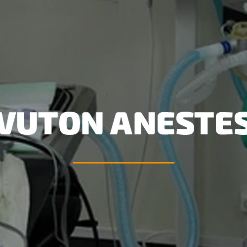 Kivuton anestesia