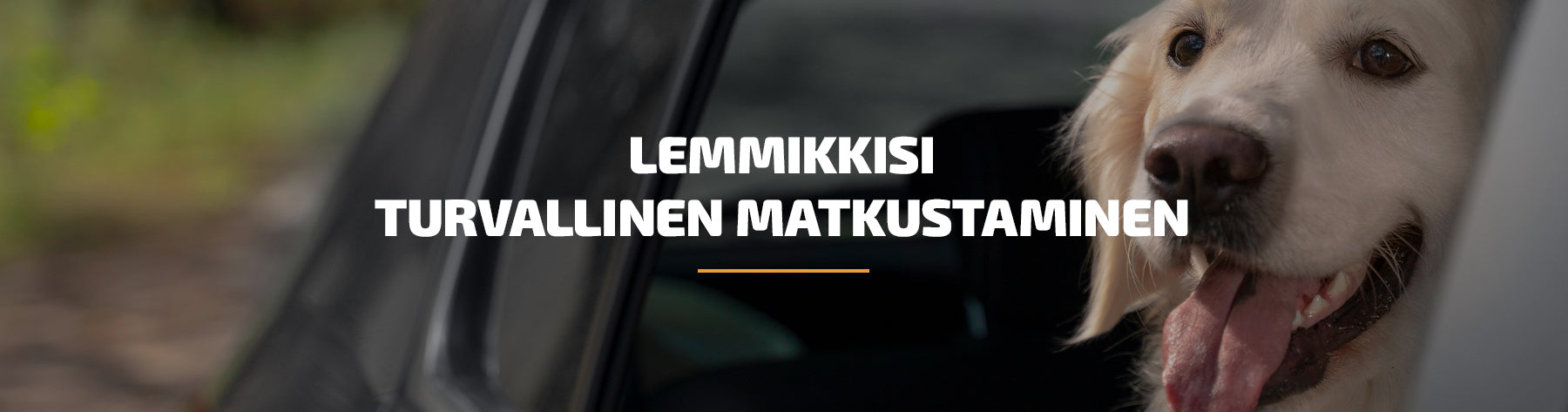 Lemmikkisi turvallinen matkustaminen