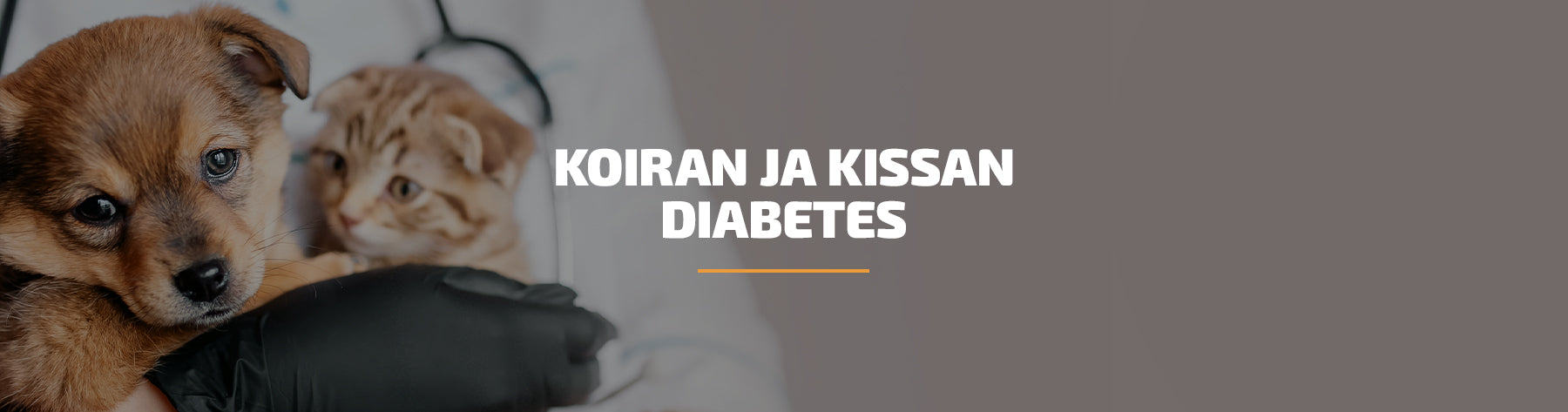 Koiran ja kissan diabetes