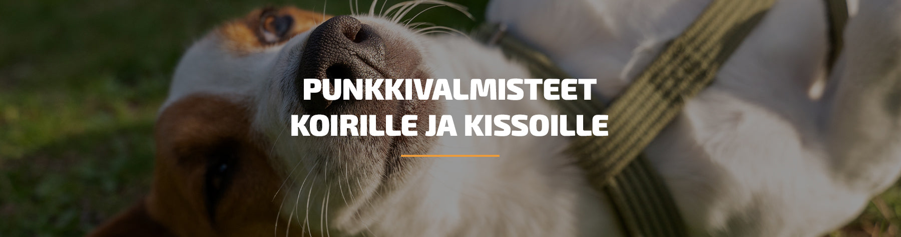 Punkkivalmisteet koirille ja kissoille