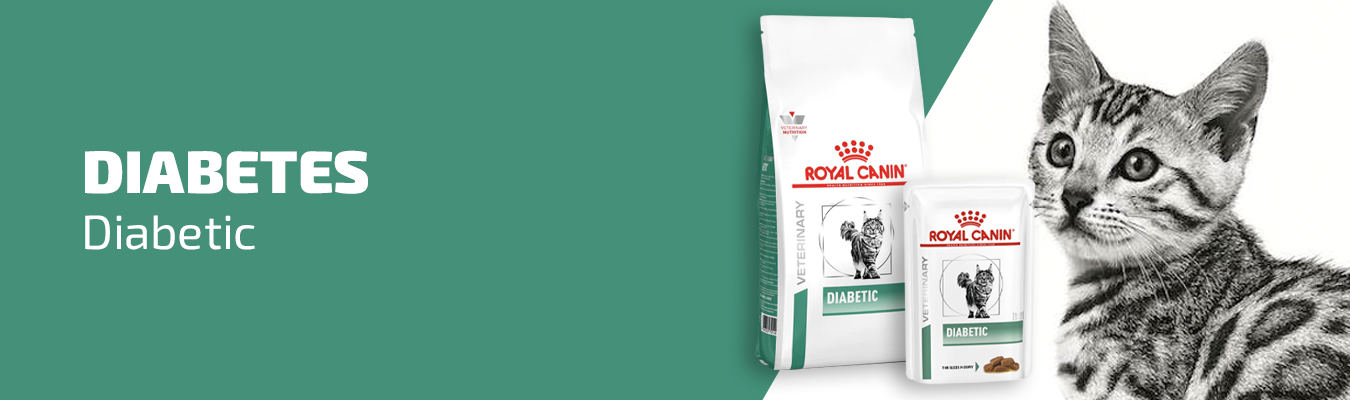 Royal Canin diabetic kissalle