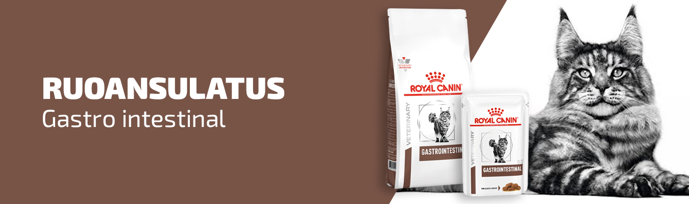 Royal Canin gastro instestinal kissalle
