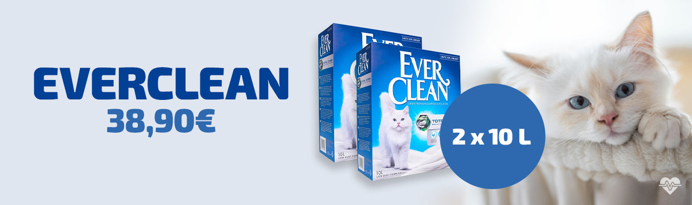 Everclean 2 x 10L 38,90€