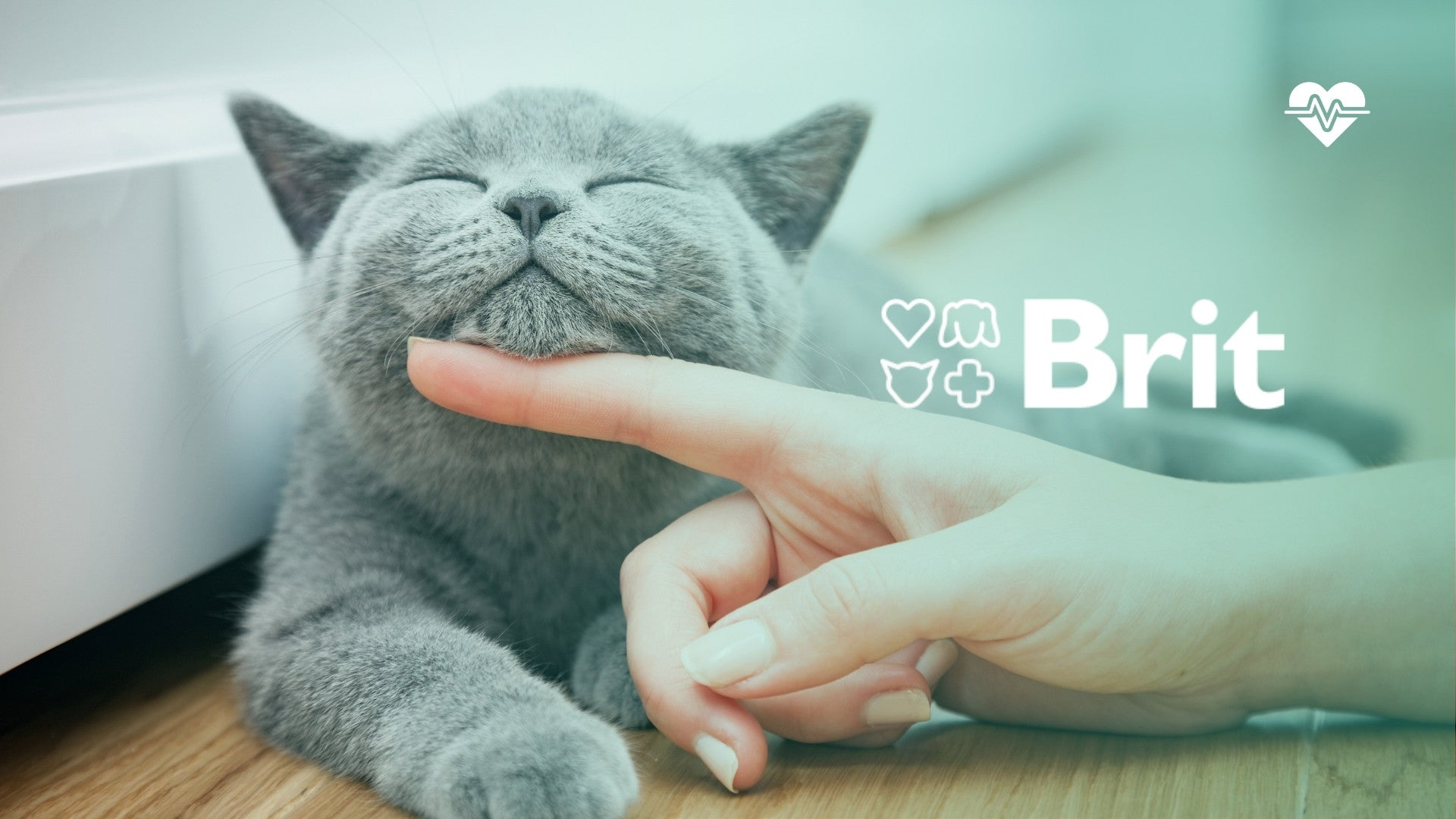 Brit Grain Free Veterinary Diet