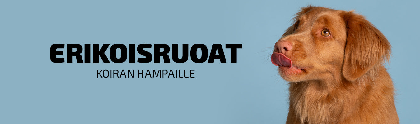 Erikoisruoat koiran hampaiden hyvinvointiin