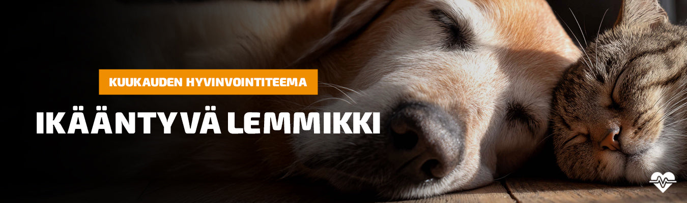 Teema - Ikääntyvä lemmikki